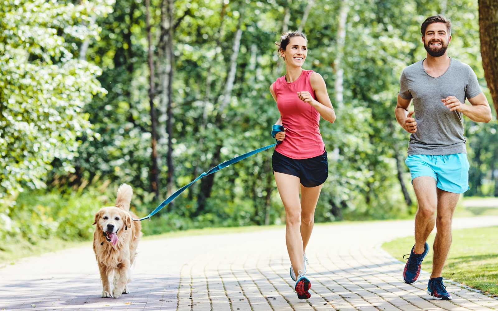 Iniziare a correre con il cane, benefici e attrezzatura adatta | LBM Sport