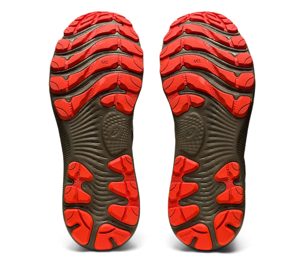 Asics Gel Nimbus 24 TR (M) scarpe morbide e stabili | LBM Sport