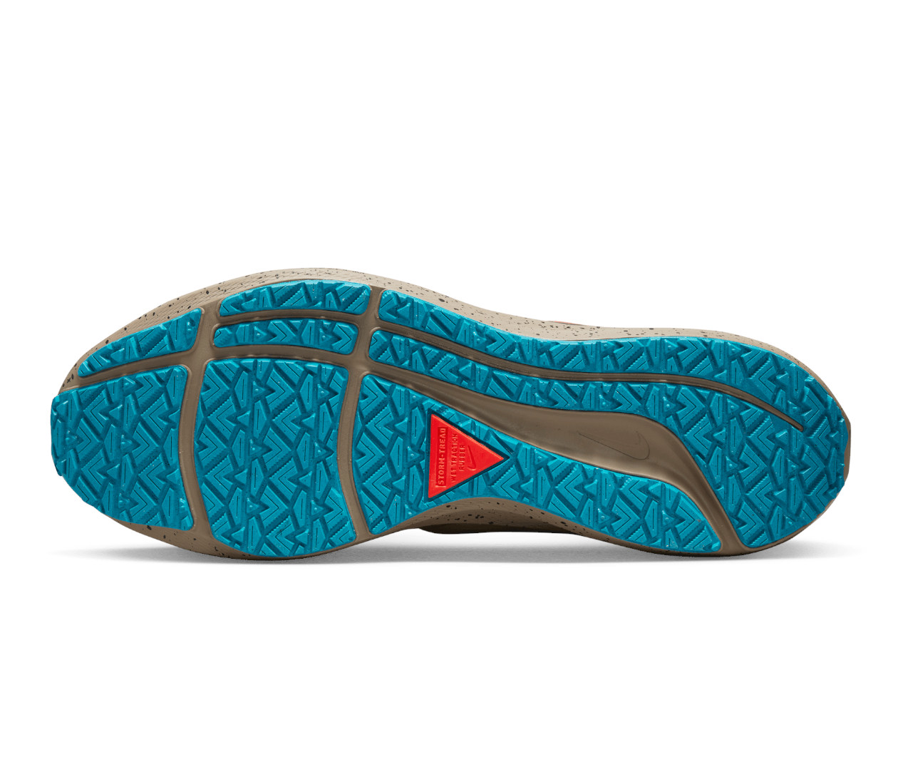 Nike Air Zoom Pegasus 39 Shield (M) scarpa impermeabile | LBM Sport